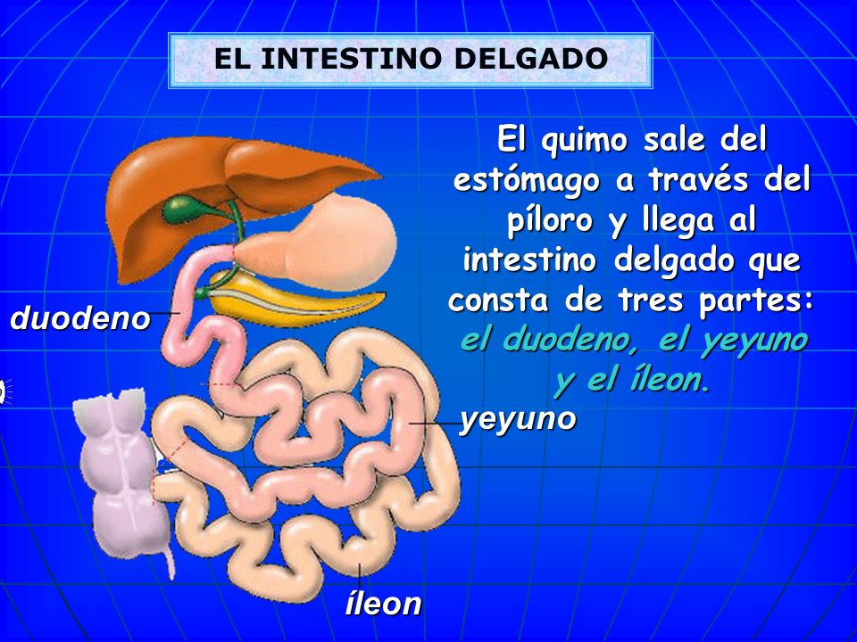 Que vitaminas a la dependencia alcohólica